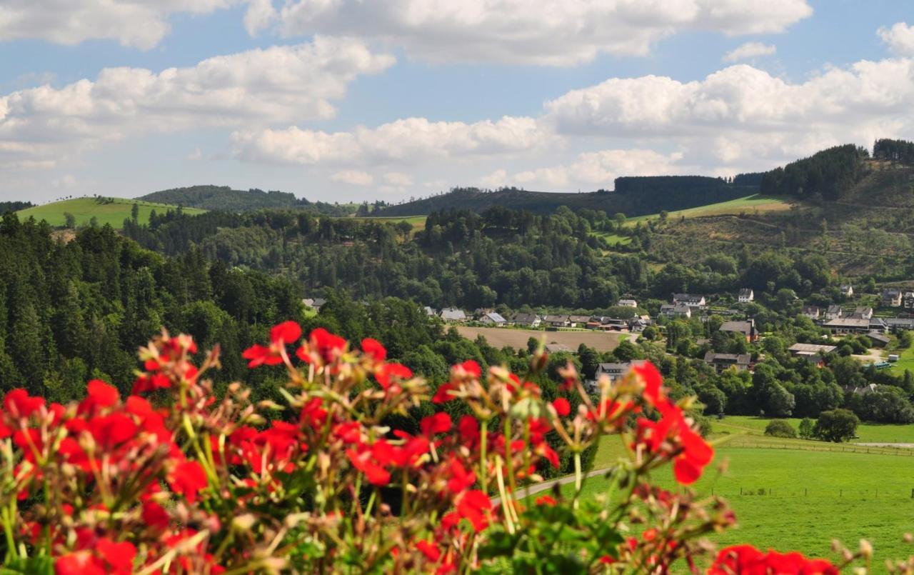 Haus Hubertus * Willingen (Upland)